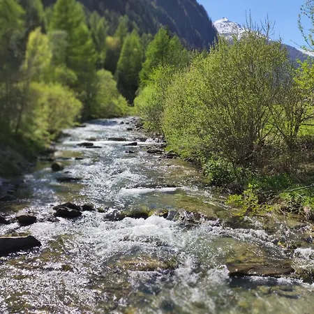 Апартаменты Steiner *