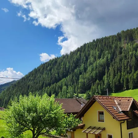 Steiner Gries (Spittal an der Drau)