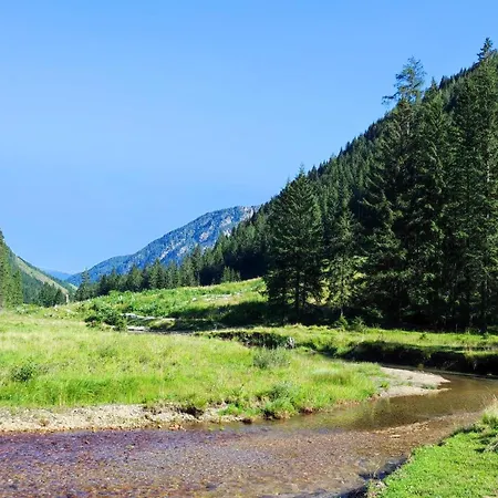 Steiner Апартаменты *