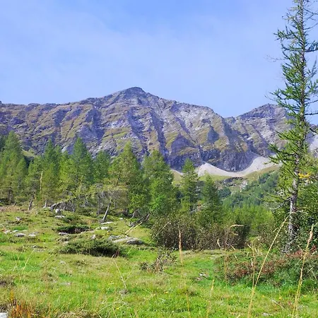 Steiner * Gries (Spittal an der Drau)