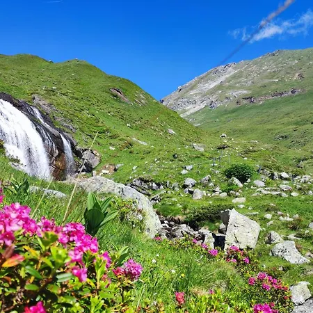 公寓 Steiner Gries (Spittal an der Drau)