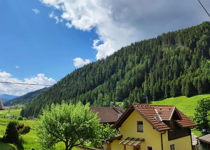 Steiner Gries (Spittal an der Drau)