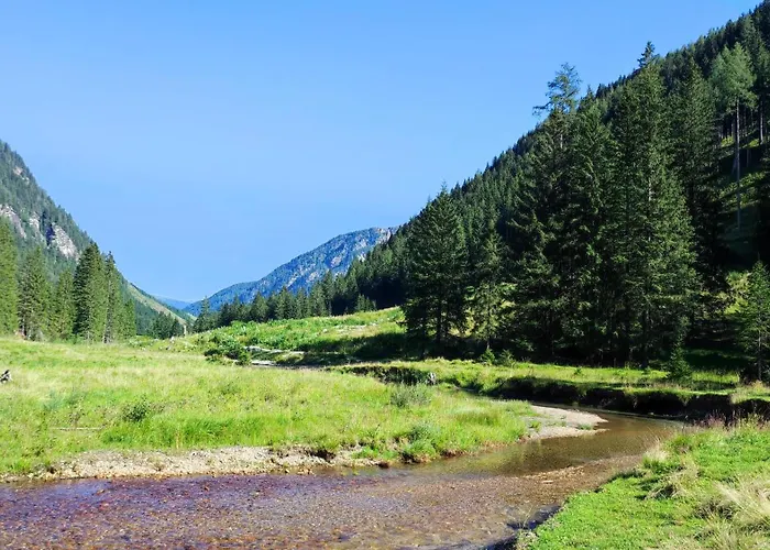 Steiner アパート *