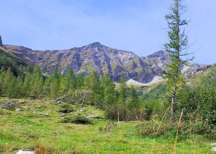 Steiner * Gries (Spittal an der Drau)